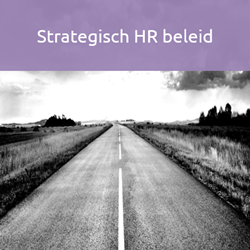 adesso strategisch hr beleid