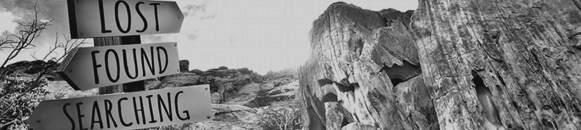 Organisatieontwikkeling